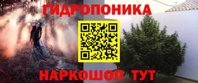 гидра Беслан
