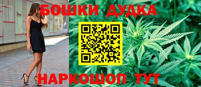 гидра Беслан