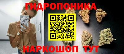 гидра Беслан